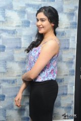 Adah Sharma Interview About Son Of Sathyamurthy Movie